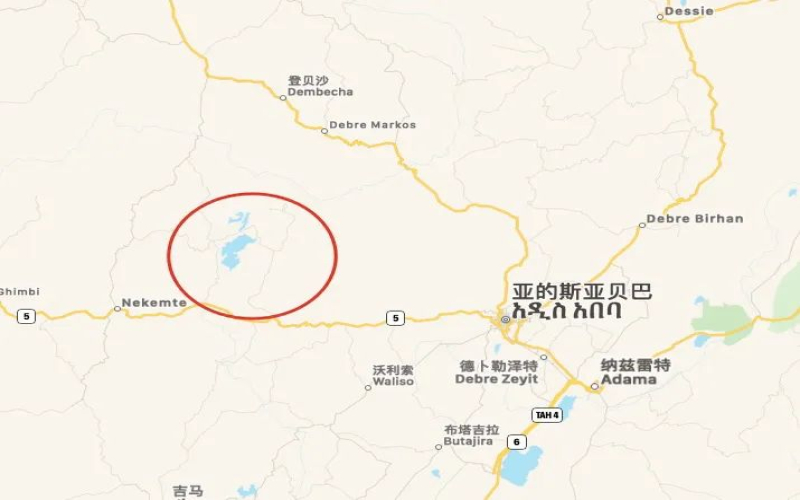 埃塞俄比亚咖啡出口面临14亿美元损失：安全冲突与欧盟新规双重夹击