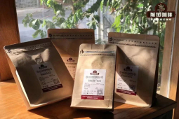 咖啡豆常识｜世界六大知名咖啡豆烘焙品牌是什么？高性价比的精品咖啡口粮豆有哪些推荐