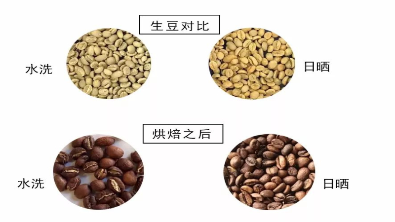 耶加雪菲水洗与日晒处理法差异解析：风味特点及前街精品豆冲煮指南