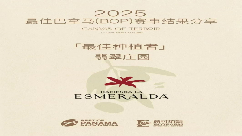 翡翠庄园再夺BOP三项桂冠，瑰夏拍卖价或将首次站上万美元关口