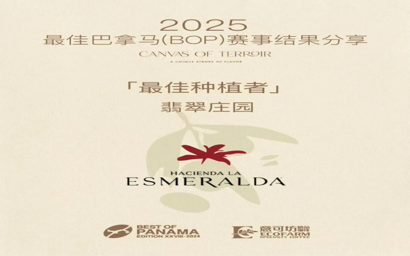 翡翠庄园再夺BOP三项桂冠，瑰夏拍卖价或将首次站上万美元关口