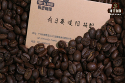 意式浓缩萃取粉水比｜意式咖啡一定要用拼配豆吗？咖啡新手怎么拼配意式豆？