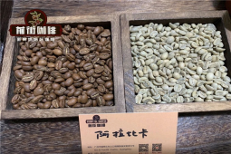 阿拉比卡的品种与意式：铁皮卡、SL28与瑰夏的浓缩表现