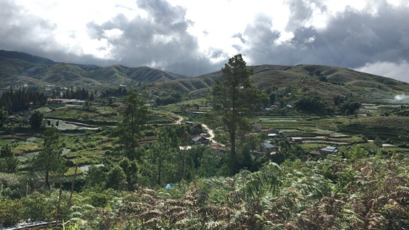 印尼曼特宁咖啡豆品种解析：湿刨法处理特色与风味冲泡全指南