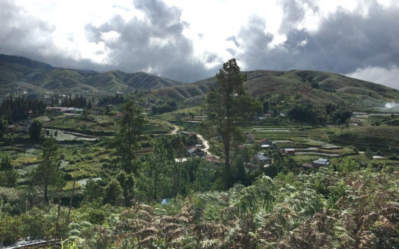 印尼曼特宁咖啡豆品种解析：湿刨法处理特色与风味冲泡全指南