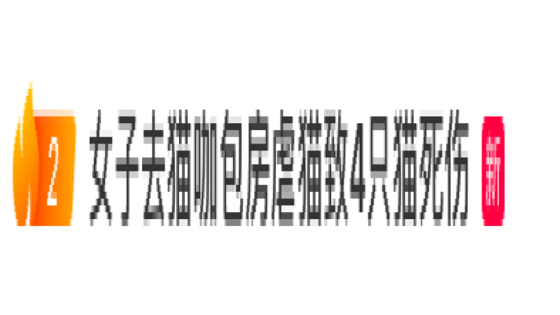 沈阳猫咖包房内顾客施暴致4只幼猫死亡，店主报警追责并宣布闭店整改