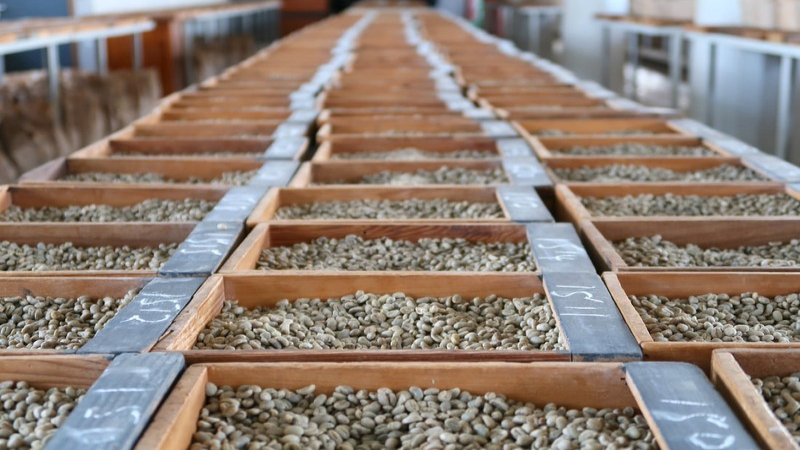 门店选豆与烘焙：肯尼亚咖啡的辨识度维护与风味稳定性