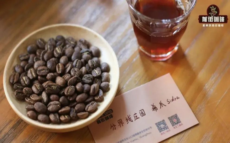 希爪咖啡品种全解析：从厄瓜多尔起源到哥伦比亚成名之路