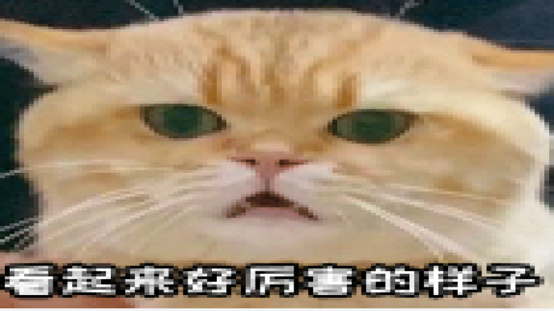 Combo组合杯遇热炸裂引热议，专为“一豆多喝”设计的器具为何不耐高温？