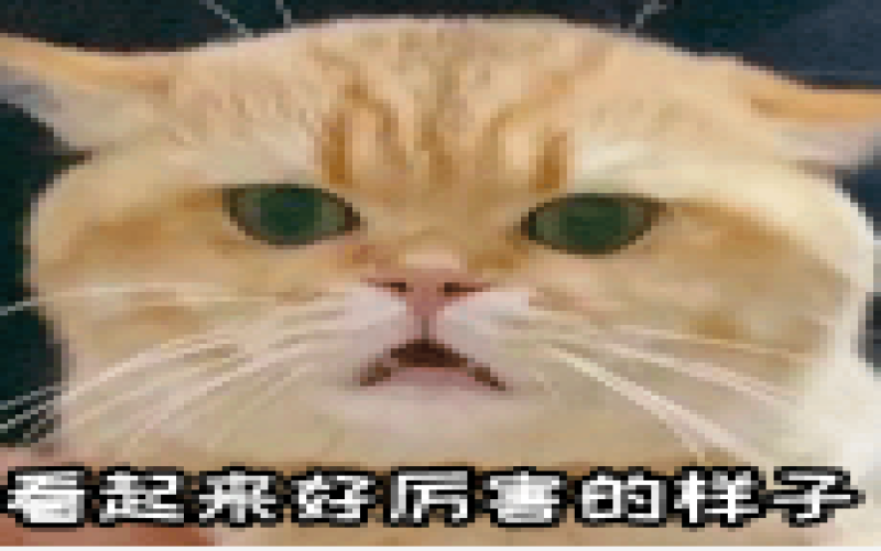 Combo组合杯遇热炸裂引热议，专为“一豆多喝”设计的器具为何不耐高温？