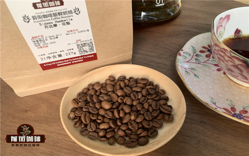 埃塞俄比亚古吉罕贝拉花魁咖啡豆风味解析与手冲参数指南