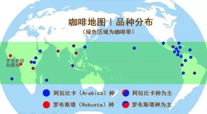 如何辨识罗布斯塔咖啡豆?为何价格低廉、每斤多少钱,一文说清 如何辨识罗布斯塔咖啡豆?为何价格低廉、每斤多少钱,一文说清