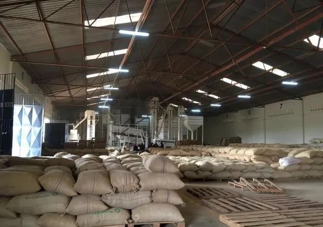 肯尼亚咖啡豆七大产区风味特征、AA分级、72小时水洗与SL品种全解析 肯尼亚咖啡豆七大产区风味特征、AA分级、72小时水洗与SL品种全解析