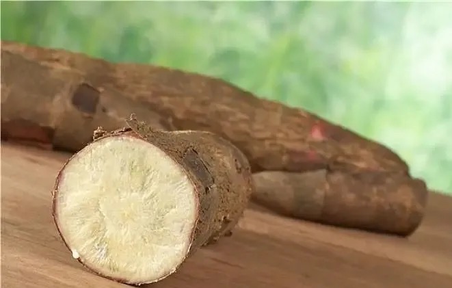 木薯原料成本攀升背后:中国乙醇产业如何间接牵动珍珠奶茶供应链 木薯原料成本攀升背后:中国乙醇产业如何间接牵动珍珠奶茶供应链