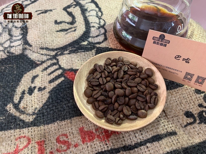 哥斯达黎加浅烘豆手冲指南:水温研磨与音乐家系列风味解析 哥斯达黎加浅烘豆手冲指南:水温研磨与音乐家系列风味解析