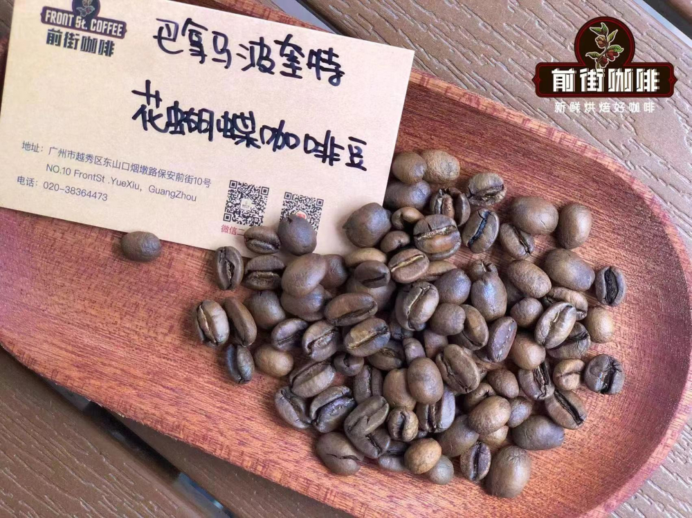 花蝴蝶咖啡豆是什么?品种拼配构成、波奎特产区特色与性价比全面解读 花蝴蝶咖啡豆是什么?品种拼配构成、波奎特产区特色与性价比全面解读