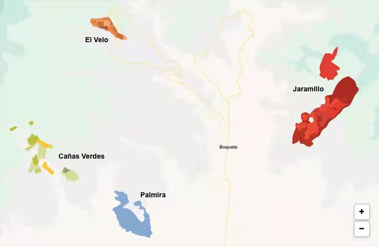瑰夏咖啡风味解析：红绿蓝标与火山岩Las Rocas区别及冲煮建议