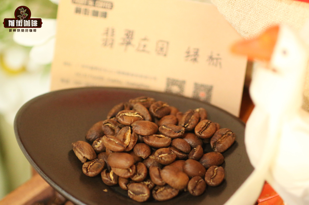 瑰夏咖啡品种全解析：从埃塞俄比亚起源到巴拿马翡翠庄园的分级与风味
