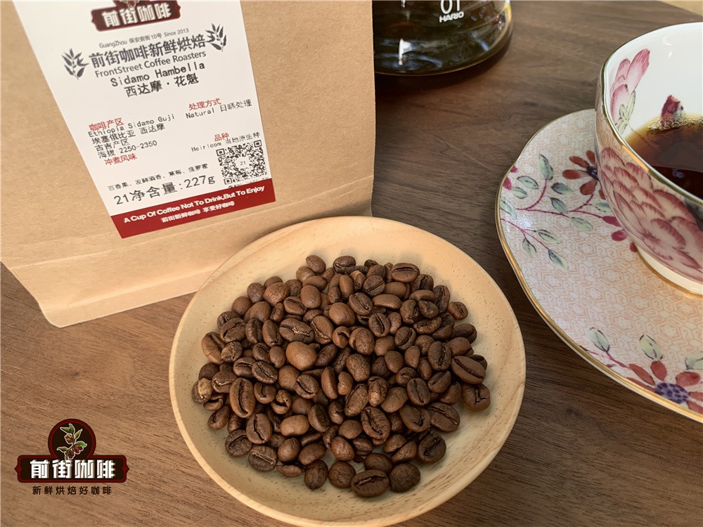 埃塞俄比亚古吉罕贝拉花魁咖啡豆风味解析与手冲参数指南