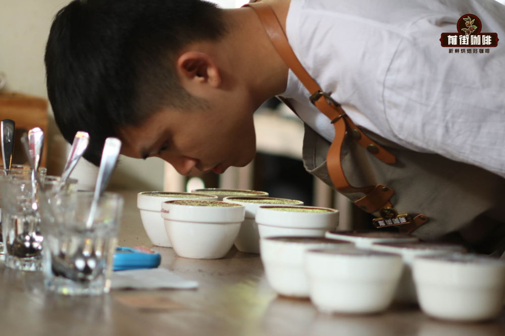 哥斯达黎加音乐家系列三款咖啡豆风味对比与贝多芬冲煮要点解析 哥斯达黎加音乐家系列三款咖啡豆风味对比与贝多芬冲煮要点解析