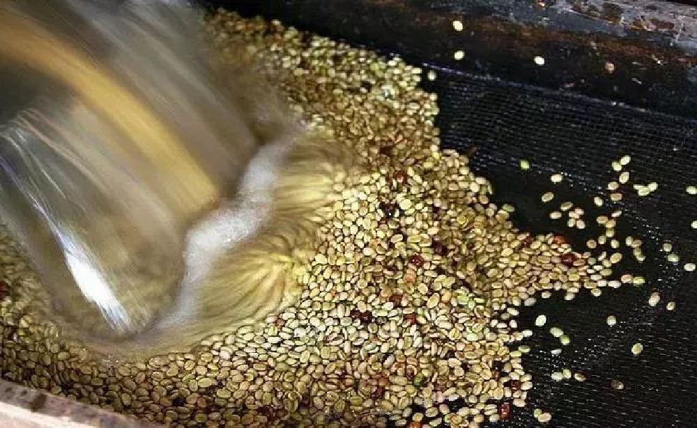 印尼咖啡风味解析:曼特宁产区特色、湿刨处理法与前街精选豆单 印尼咖啡风味解析:曼特宁产区特色、湿刨处理法与前街精选豆单