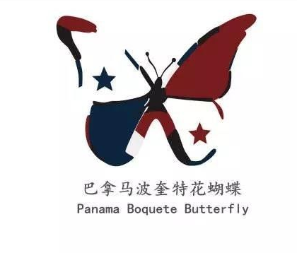 巴拿马波奎特花蝴蝶瑰夏咖啡豆风味解析与手冲参数分享 巴拿马波奎特花蝴蝶瑰夏咖啡豆风味解析与手冲参数分享