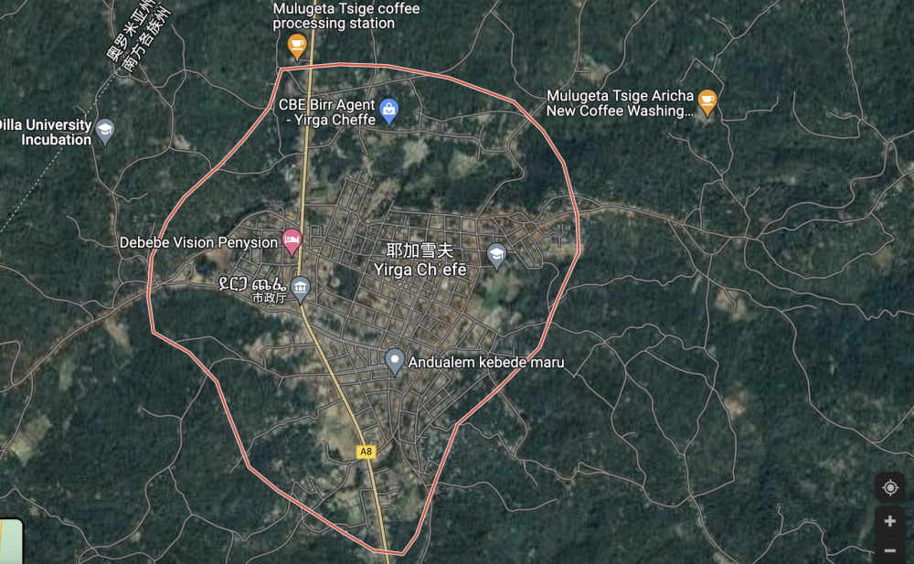 埃塞俄比亚咖啡产地全解析：耶加雪菲与西达摩的风土、处理法与冲煮风味特征