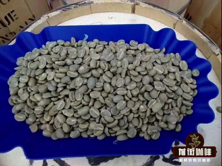 牙买加蓝山一号咖啡产自哪里?风味口感特点与手冲冲煮方法完整解析 牙买加蓝山一号咖啡产自哪里?风味口感特点与手冲冲煮方法完整解析