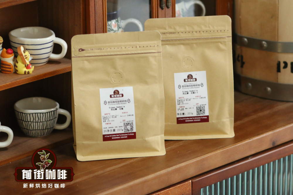 花魁8.0咖啡豆手冲指南:从日晒处理到V60三段式萃取全解析 花魁8.0咖啡豆手冲指南:从日晒处理到V60三段式萃取全解析