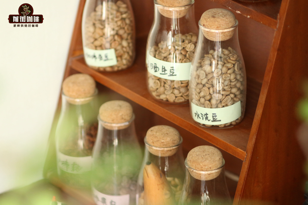 澳白咖啡完全指南:从起源争议到浓缩牛奶配比与奶泡厚度解析 澳白咖啡完全指南:从起源争议到浓缩牛奶配比与奶泡厚度解析