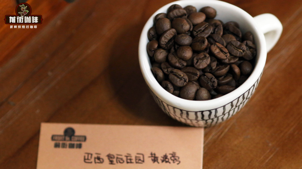 世界十大咖啡产国全解析:从巴西到云南,前街带您领略各地精品咖啡豆风味 世界十大咖啡产国全解析:从巴西到云南,前街带您领略各地精品咖啡豆风味