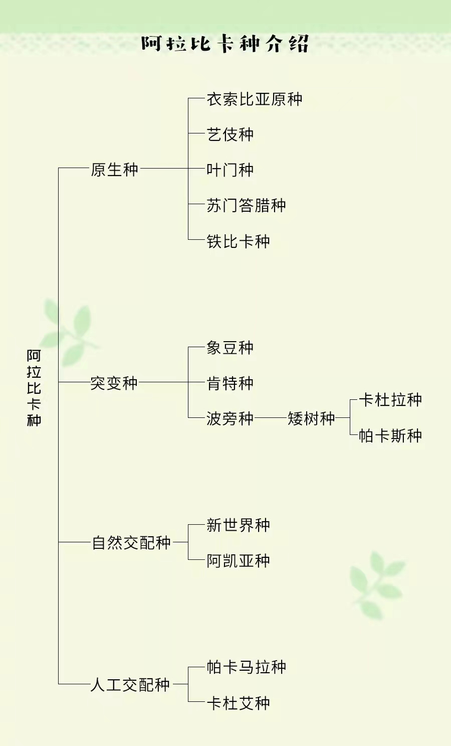 咖啡豆等级与品种档次全解析：阿拉比卡和卡内弗拉各自处于什么水平