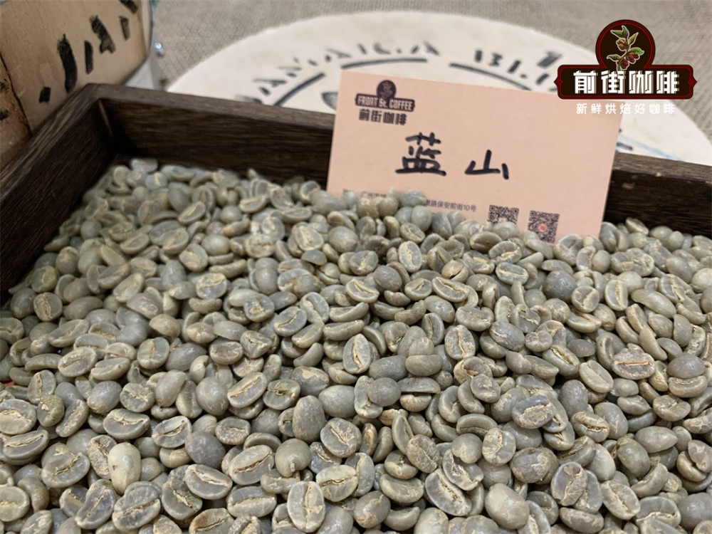 牙买加蓝山咖啡风味特征详解 手冲蓝山参数与冲煮技巧分享 牙买加蓝山咖啡风味特征详解 手冲蓝山参数与冲煮技巧分享
