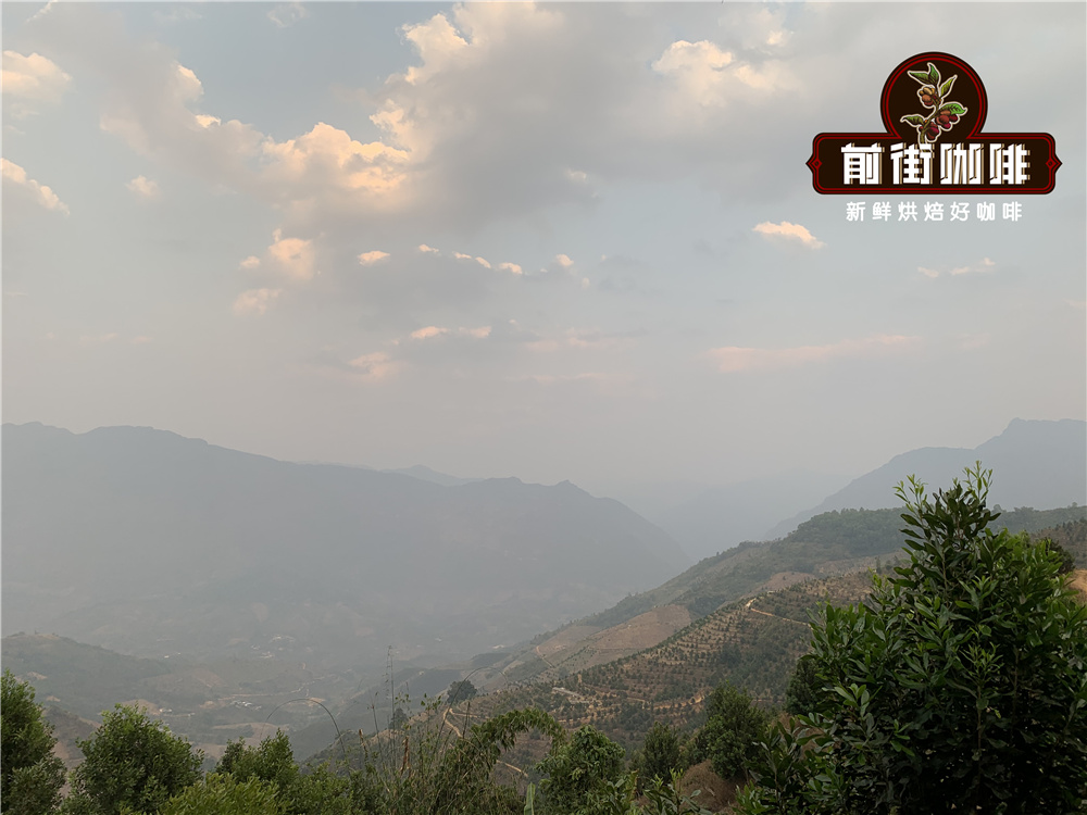 云南咖啡种植历史溯源与云南小粒咖啡豆风味特点全面解析 云南咖啡种植历史溯源与云南小粒咖啡豆风味特点全面解析