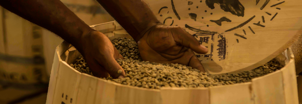 牙买加蓝山咖啡深度解读：从种植分级到真假辨别与手冲参数全指南