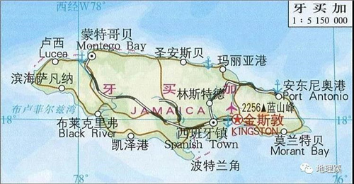 牙买加蓝山一号咖啡风味特征解析:品种、分级与冲煮全指南 牙买加蓝山一号咖啡风味特征解析:品种、分级与冲煮全指南