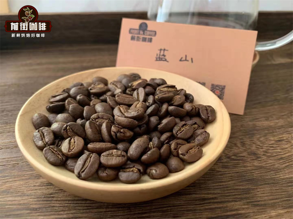 牙买加蓝山咖啡属于什么级别?蓝山一号为何价格高昂品质出众 牙买加蓝山咖啡属于什么级别?蓝山一号为何价格高昂品质出众