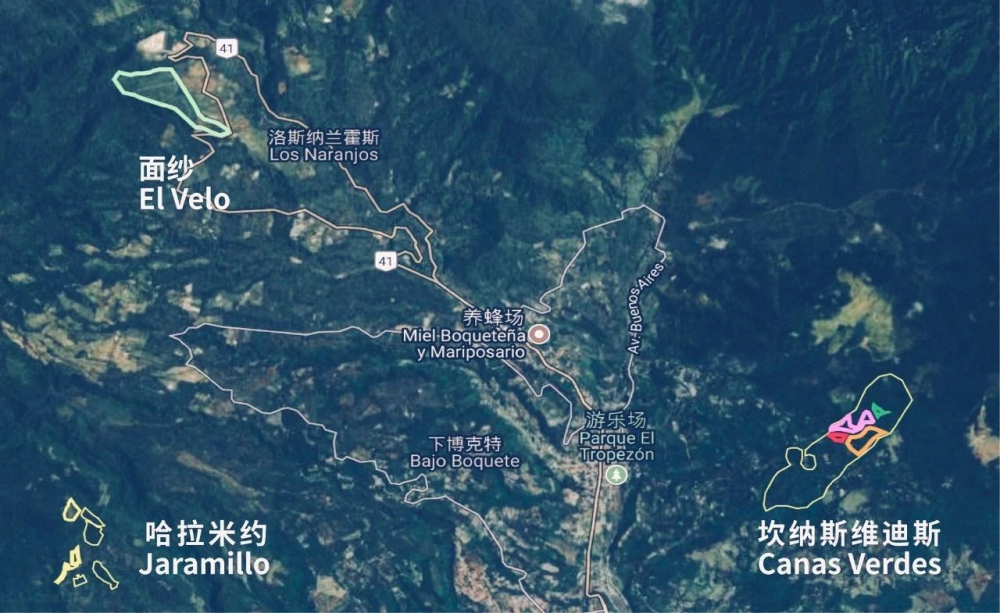 探秘瑰夏咖啡:从产地溯源到翡翠庄园日晒处理与手冲风味解析 探秘瑰夏咖啡:从产地溯源到翡翠庄园日晒处理与手冲风味解析