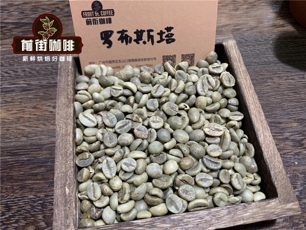 阿拉比卡与罗布斯塔咖啡豆风味差异解析:品种特性及前街推荐代表豆 阿拉比卡与罗布斯塔咖啡豆风味差异解析:品种特性及前街推荐代表豆