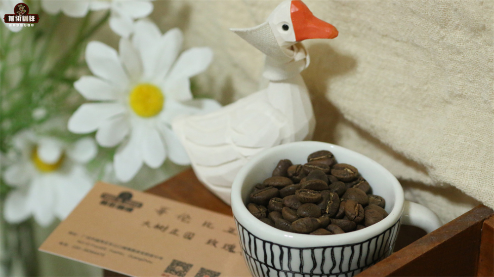 哥伦比亚咖啡风味特征与蕙兰产区解析：从地理品种到前街冲煮实践