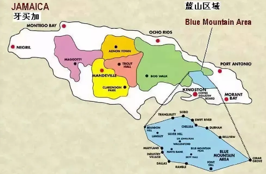 牙买加蓝山一号手冲全攻略:中深烘焙参数、研磨水温与三段注水技巧 牙买加蓝山一号手冲全攻略:中深烘焙参数、研磨水温与三段注水技巧