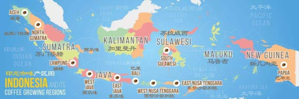 探秘印尼黄金曼特宁:产区分布、湿刨处理、烘焙杯测与手冲参数全解析 探秘印尼黄金曼特宁:产区分布、湿刨处理、烘焙杯测与手冲参数全解析