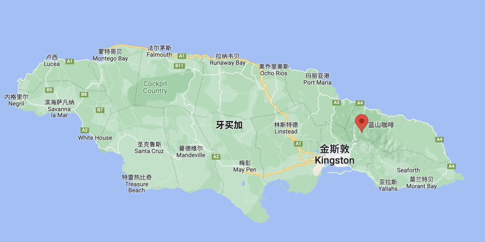 牙买加蓝山咖啡产自哪个国家?产地条件、风味特征与真伪鉴别全解析 牙买加蓝山咖啡产自哪个国家?产地条件、风味特征与真伪鉴别全解析