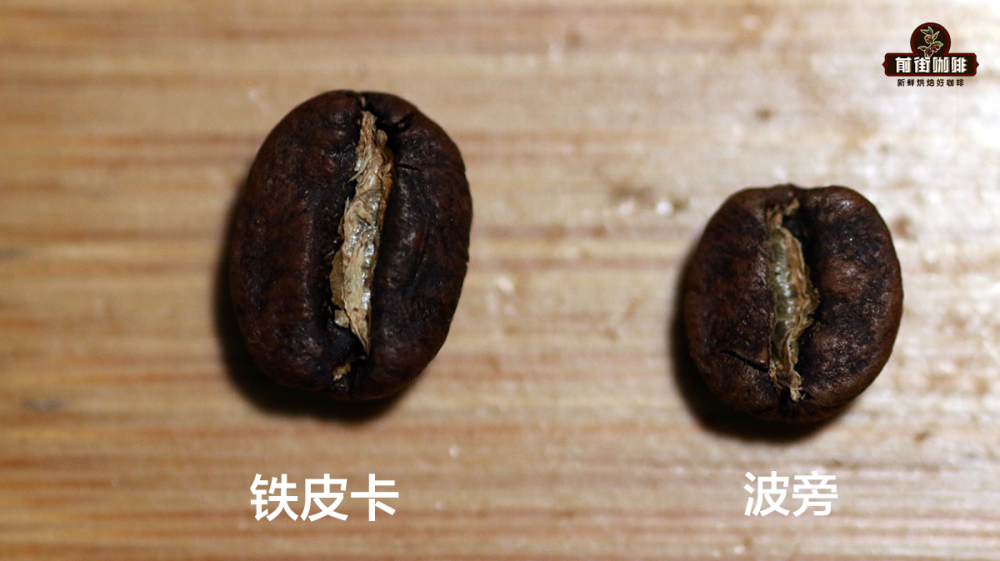 阿拉比卡咖啡豆详解：等级定位、主栽品种特性、产地来源与风味表现