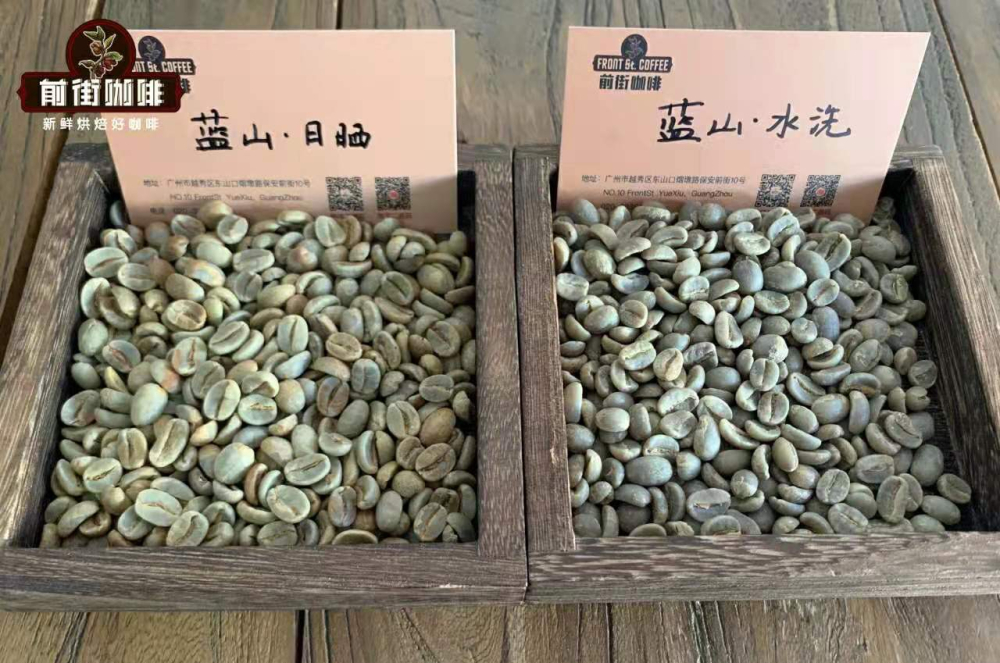 牙买加蓝山咖啡豆全解析:从历史分级到真伪鉴别与前街冲煮分享 牙买加蓝山咖啡豆全解析:从历史分级到真伪鉴别与前街冲煮分享