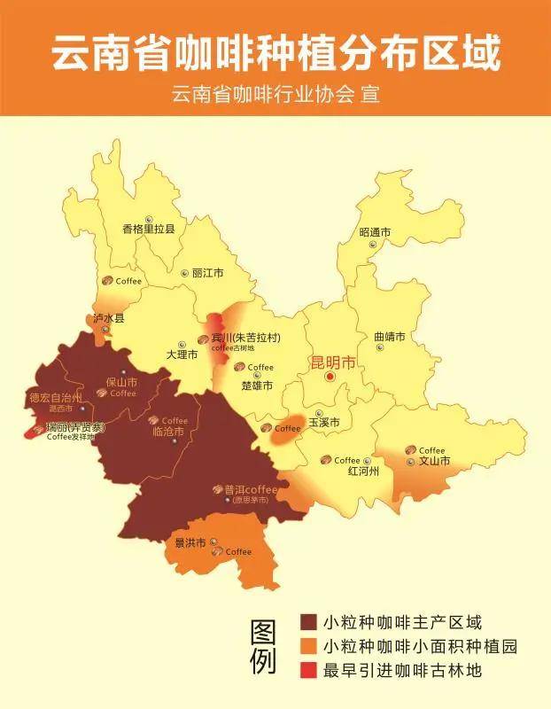 云南小粒咖啡手冲技法与铁皮卡风味解析:从产地到萃取的完整指南 云南小粒咖啡手冲技法与铁皮卡风味解析:从产地到萃取的完整指南