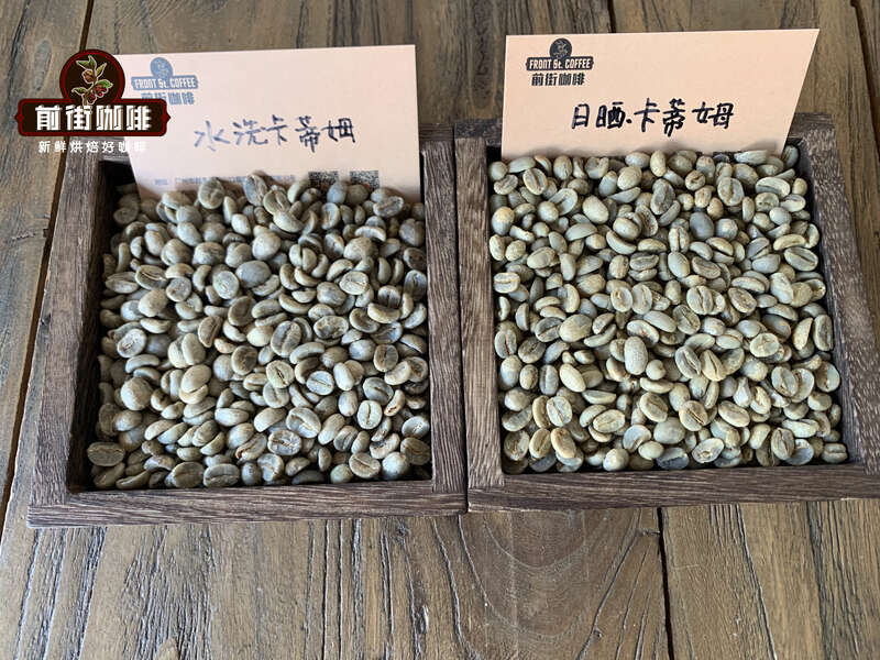 云南铁皮卡与卡蒂姆手冲对比：品种特性、产区分布及冲煮参数详解