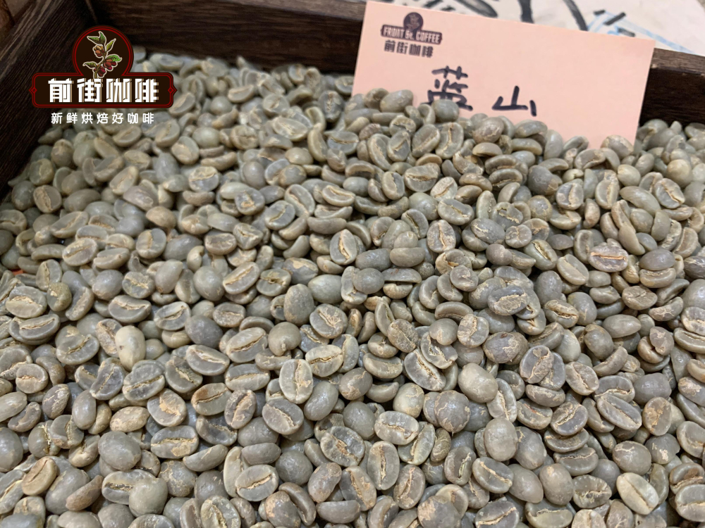牙买加蓝山一号咖啡豆等级划分与风味特点全解析 牙买加蓝山一号咖啡豆等级划分与风味特点全解析