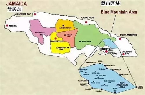 牙买加蓝山咖啡产区全解析:圣托马斯、波特兰与圣安德鲁三大区域及分级品种冲煮指南 牙买加蓝山咖啡产区全解析:圣托马斯、波特兰与圣安德鲁三大区域及分级品种冲煮指南