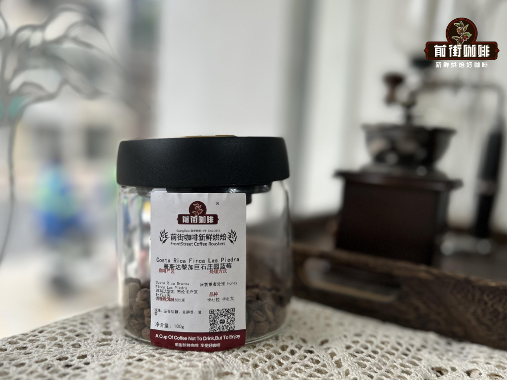 卡杜拉与卡杜艾究竟有何不同？从品种起源到杯中风味一次讲清